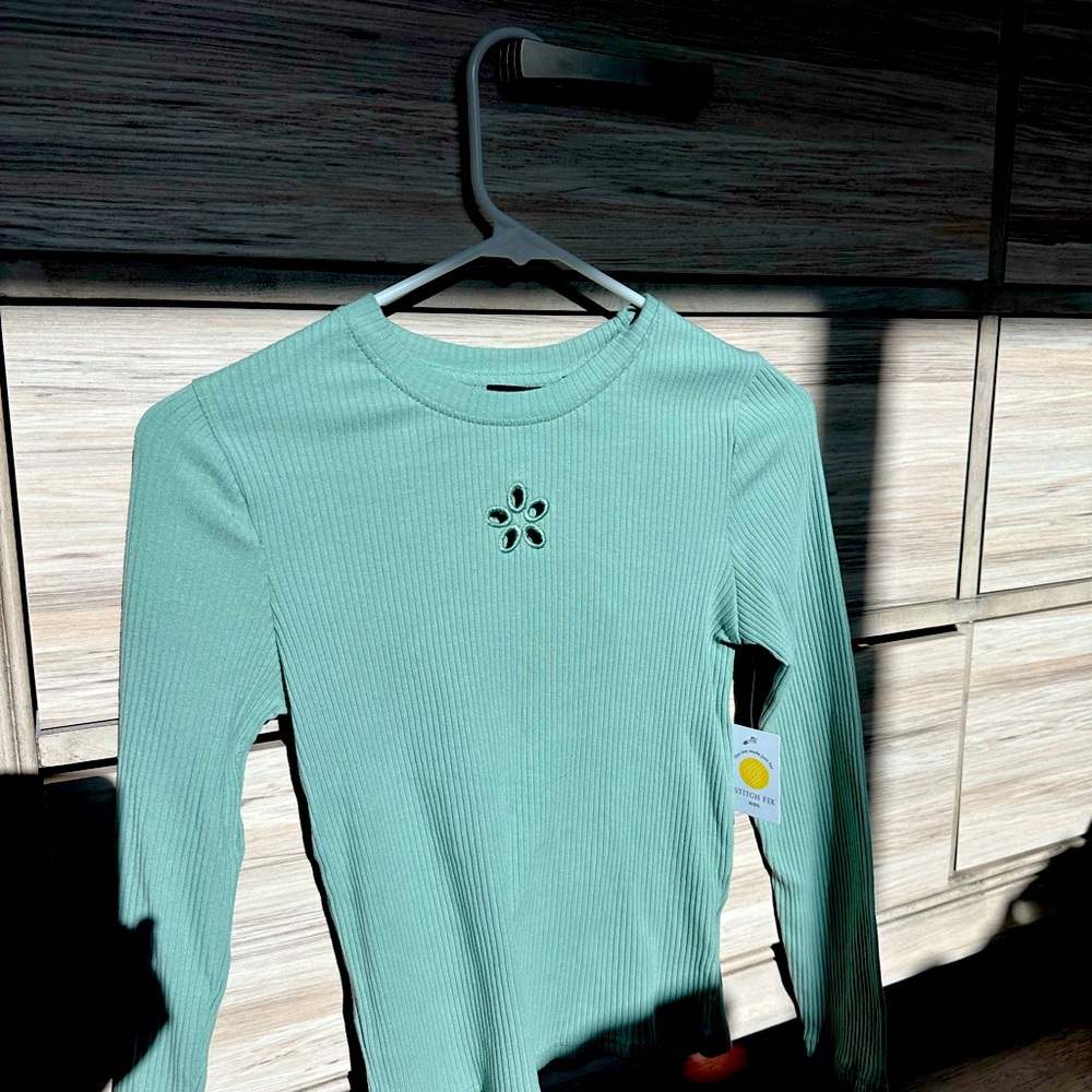 This is a light green long sleeve top
